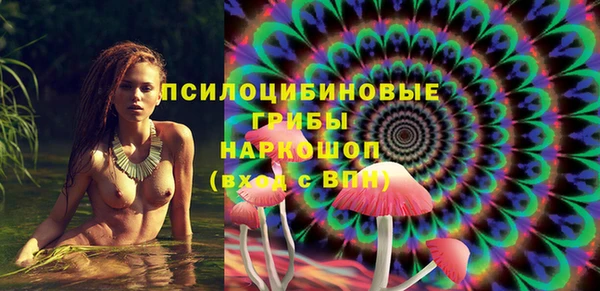 первитин Козельск