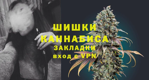 spice Кодинск