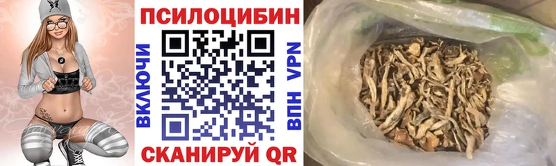 Галлюциногенные грибы прущие грибы  Купить  Истра 